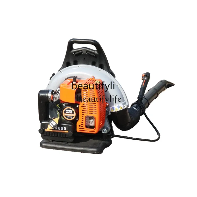 Fgy Zaino Per Soffi… - image