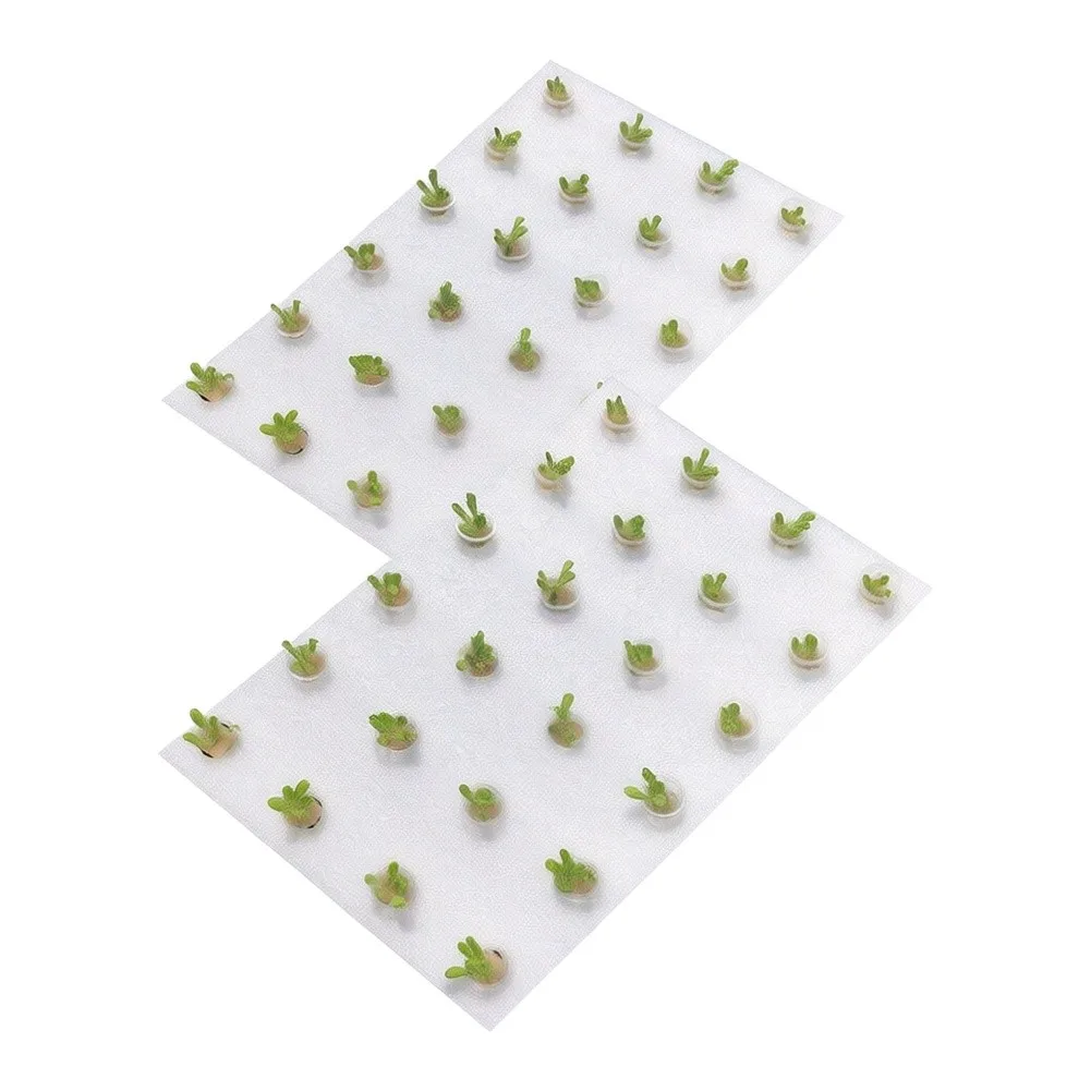 2 Pack Hydroponics Planting Tray with 24 Sponge Cavities and 24 for Starter For Bud Growth and Transplant Prep