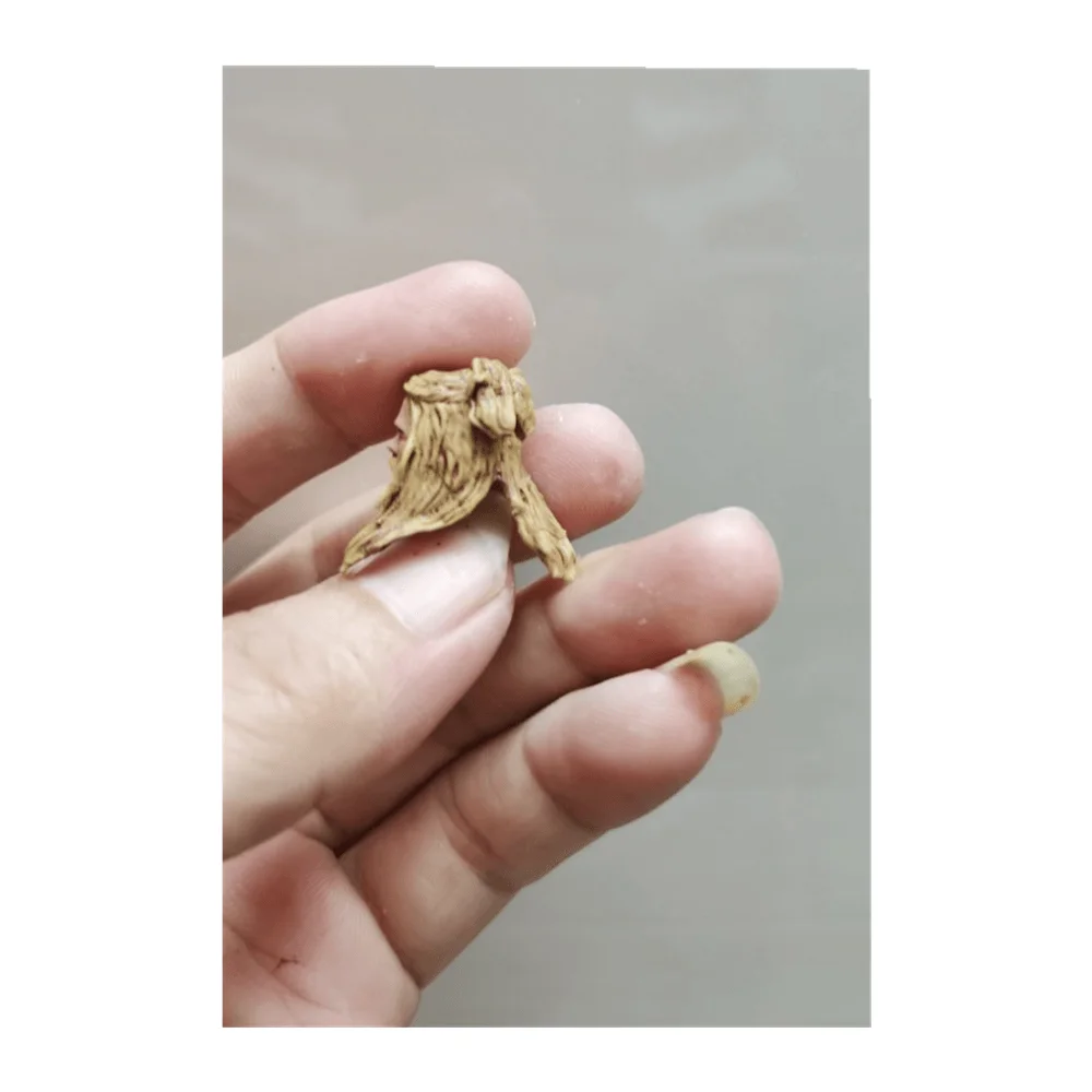 1/18 مقياس نحت الرأس كريس هيمسوورث ذكر الجندي نموذج بولي كلوريد الفينيل مناسبة ل 3.75 بوصة عمل الشكل الجسم دمية #6