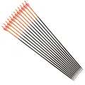 12pcs Sp300 Orange