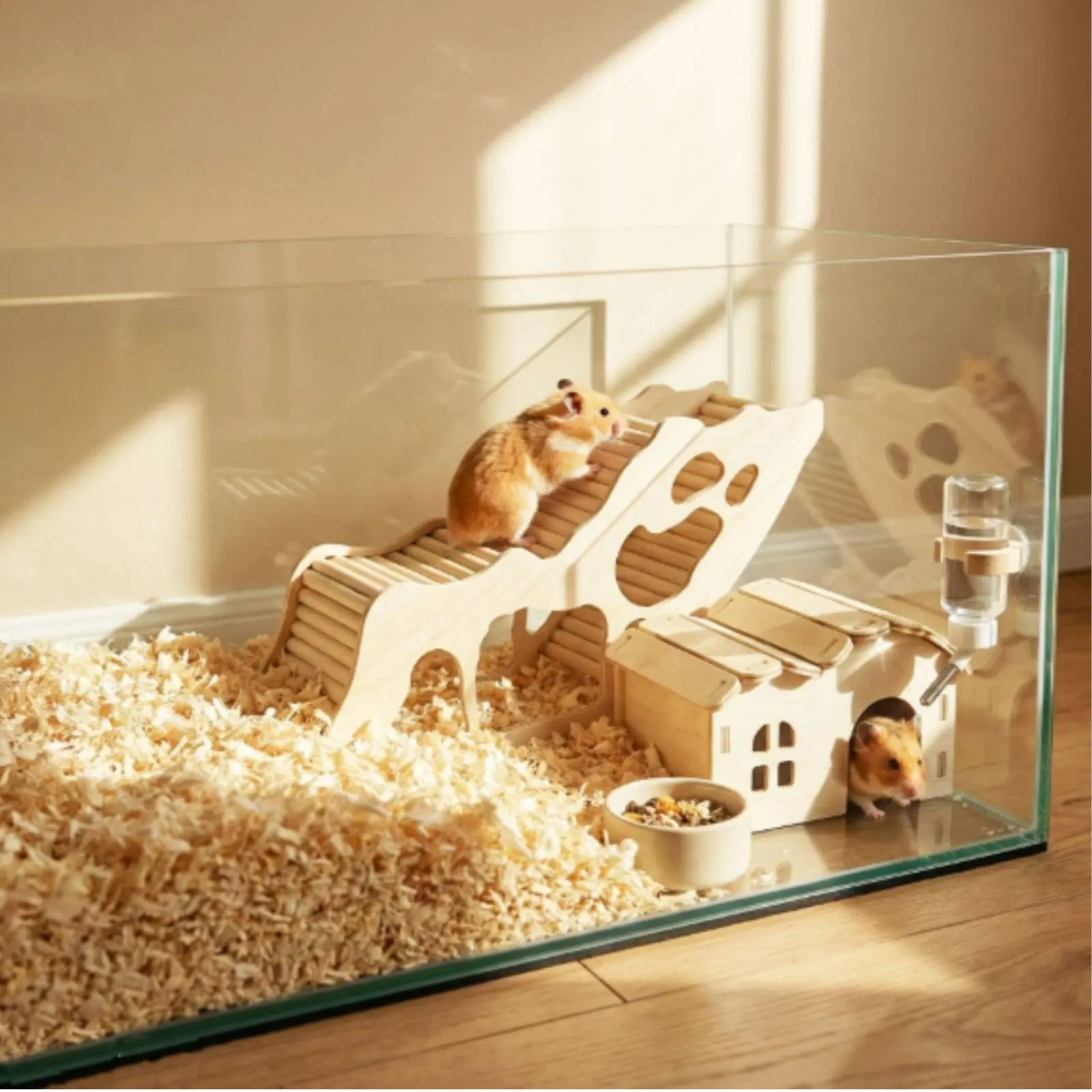 Ensemble de jeu en bois pour hamster, 2 pièces, jouets d'escalade pour petits animaux, encourage l'exploration