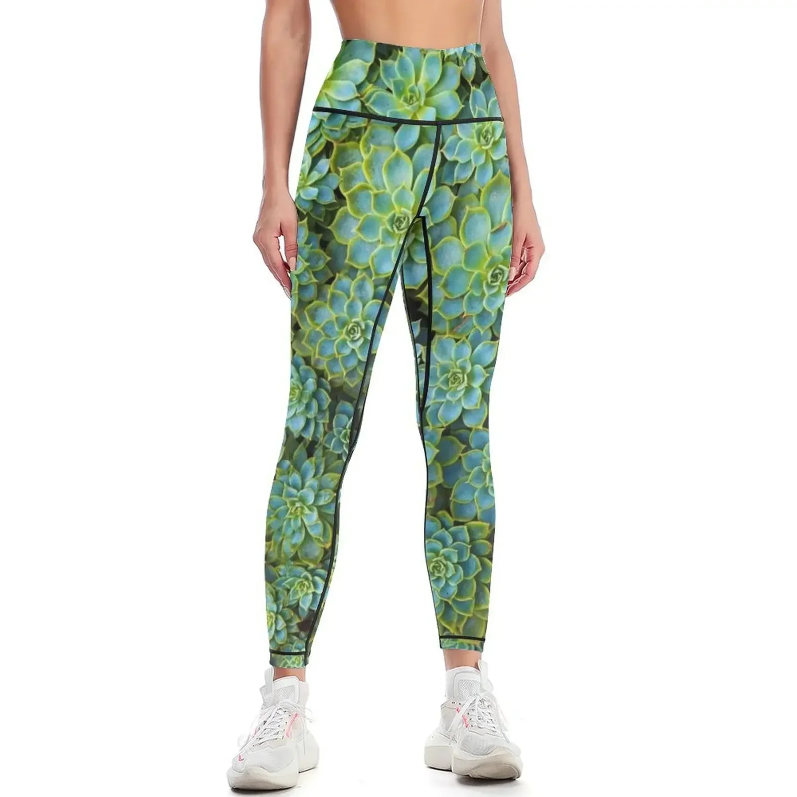 

Green Succulent Leggings sports shirts gym Legging sport sport legging push up legging Womens Leggings