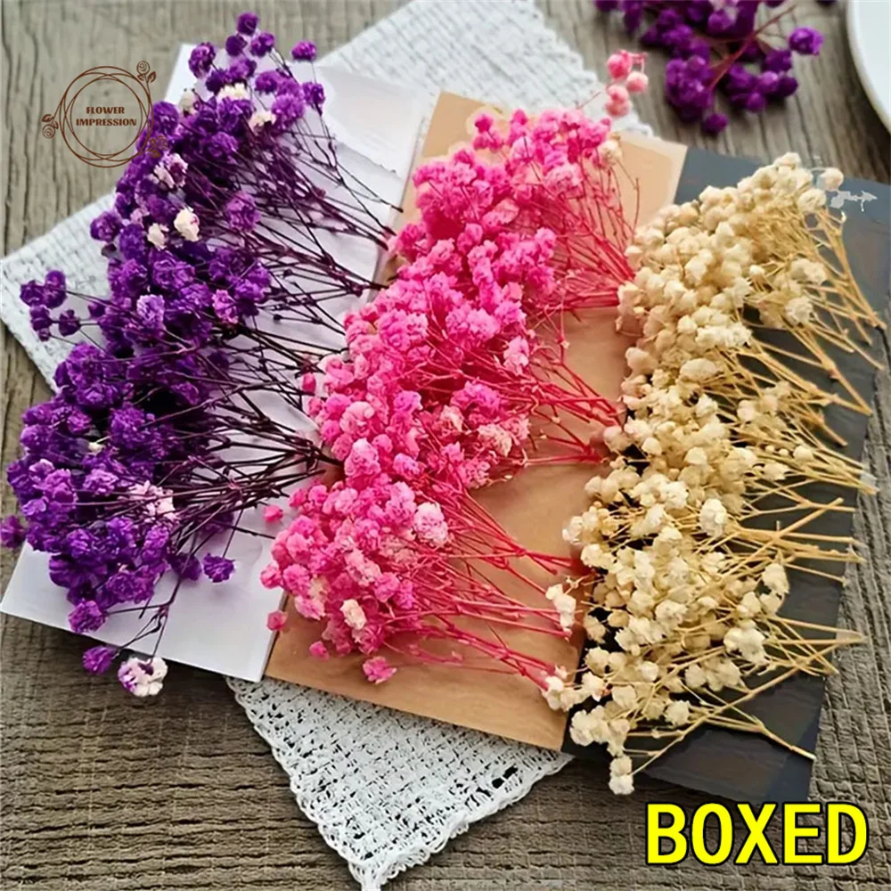 

50/100pcs Dry Flowers Baby's Breath Bouquet Gypsophila Floral Arrangement Wedding Party Decor Vase DIY Table Pampas Decoration
