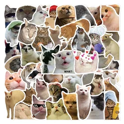 25/50Pcs Cute Funny Cat Meme Cartoon Stickers Decal Laptop Phone Luggage Guitar Bike Motorcycle Car Graffiti Sticker for Kid