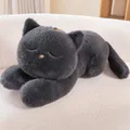 grey sleeping