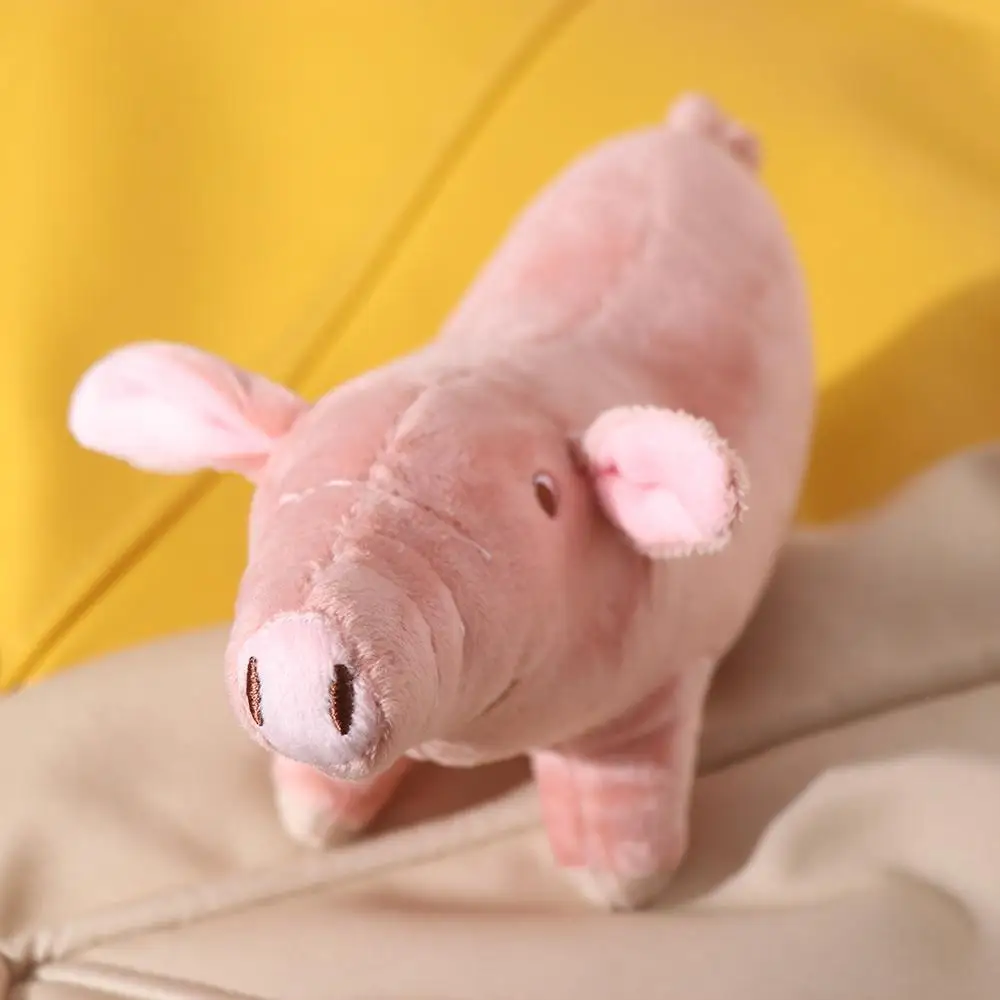 

Resistant Puppy Molar Tooth For Small Medium Dogs Indoor Play Chew Training Toy Dog Chew Toys Dog Sleeping Toy Pet Supplies