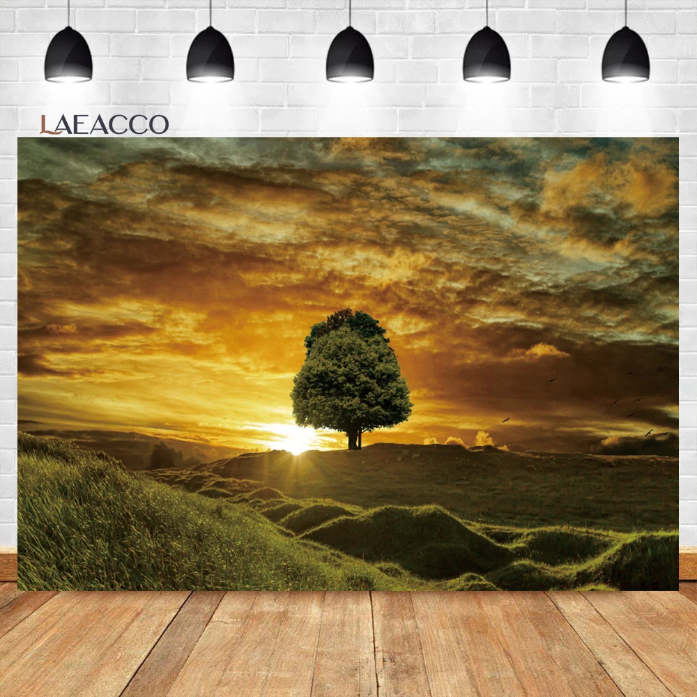 

Laeacco Dusk Grassland Photography Background Sunset Glow Mountains Scenic Wedding Room Decor Kids Adult Portrait Photo Backdrop