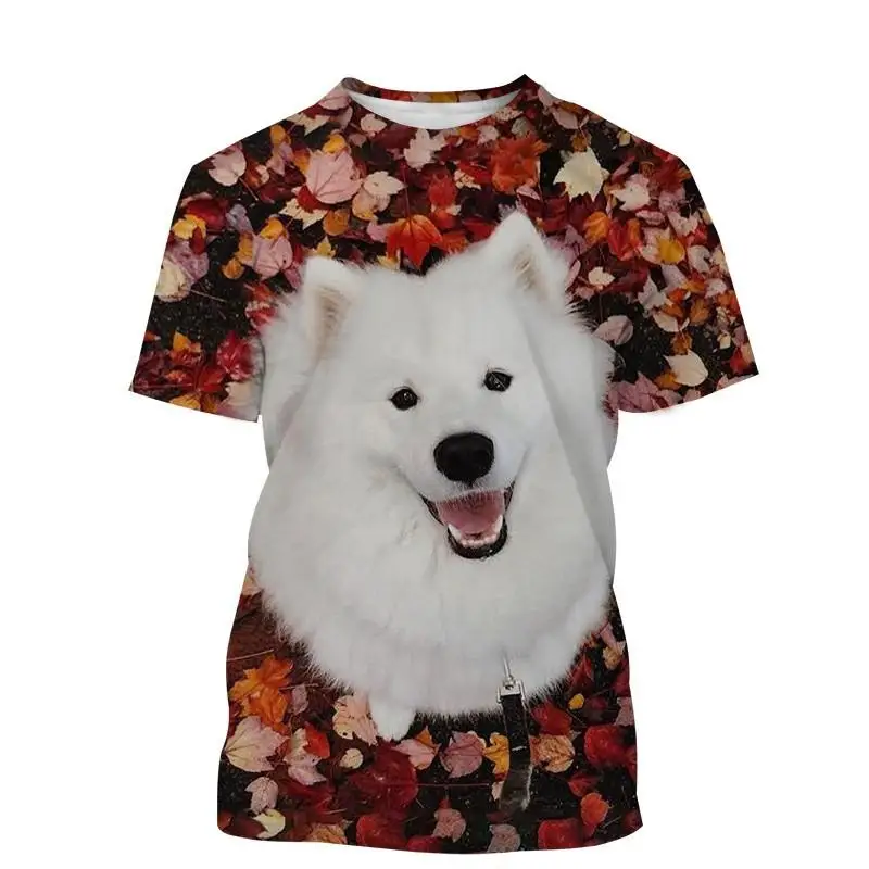 Summer Samoyed Pattern Men's T-shirt Hip Hop 3D Print Personality   Neck Short Sleeve  Fashion Clothes