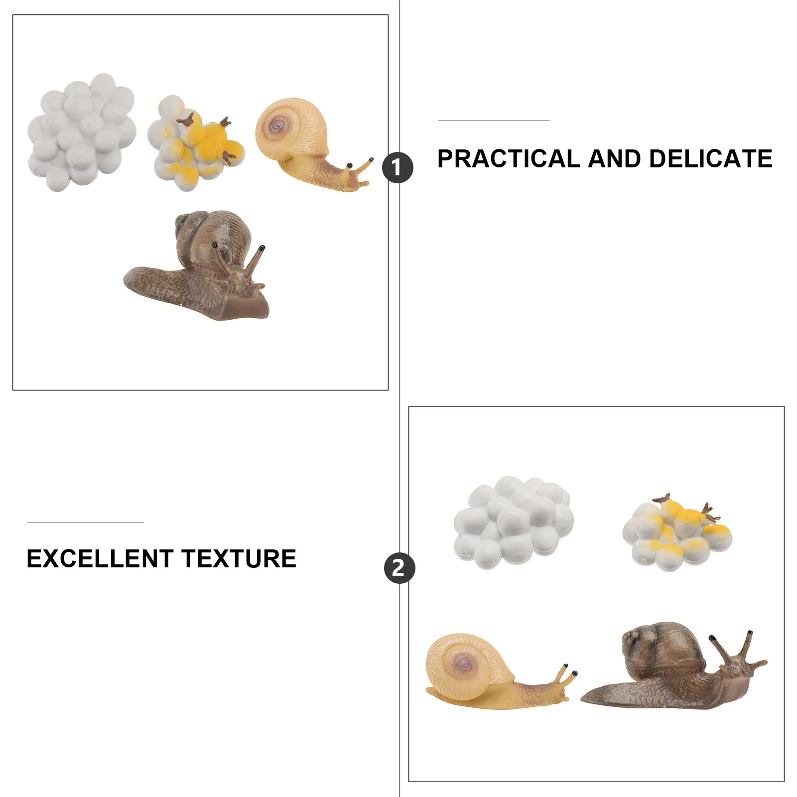 4pcs Snail Life Cycle Educational Toys for Kids – Montessori Learning Animal Figurines for Home & Nursery Decoration
