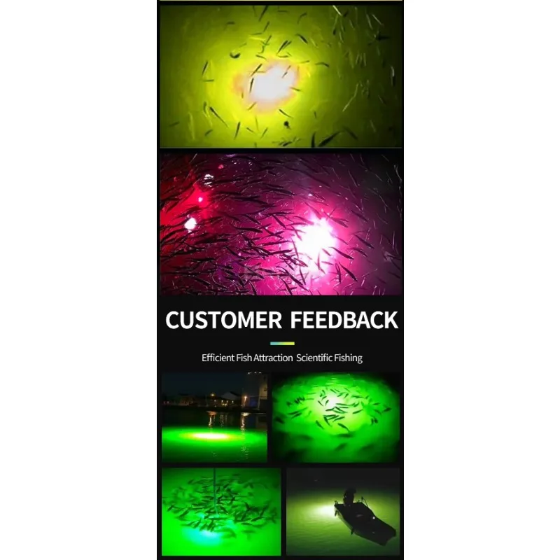 IP68 1500 واط LED مصباح الطعم لزراعة السلمون 15 ساعة إضاءة مستمرة تحت الماء أخضر/أصفر أزرق الانبعاثات