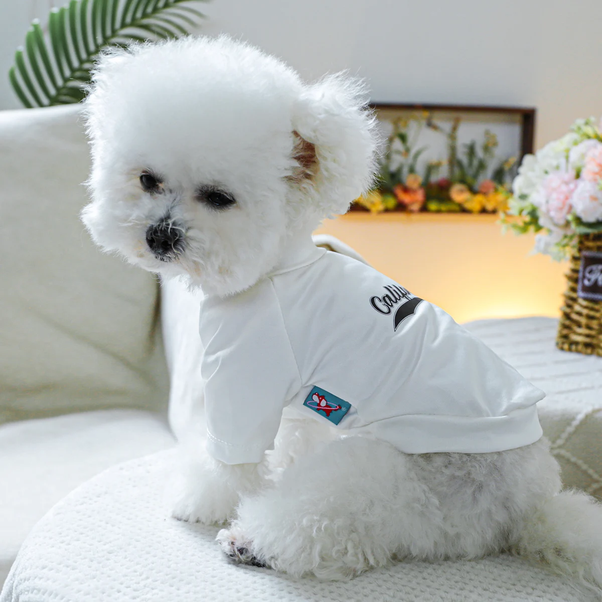 1PC Pet Clothing Dog Cat Pullover Summer Black Flower California White T Suitable for Small and Medium sized Dogs