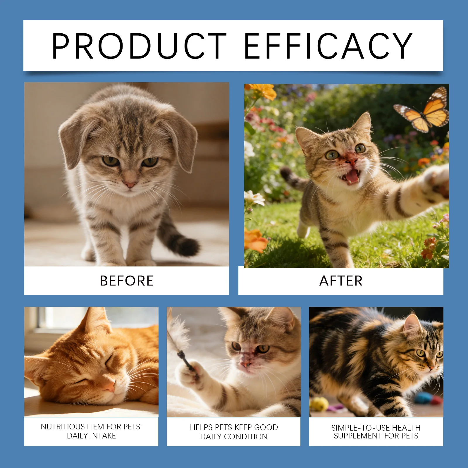 Taurine Powder for Cats description 5