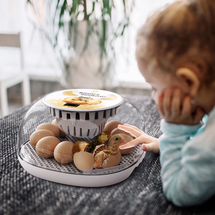 WONEGG تصميم جديد لضبط المياه الخارجية حاضنات أوتوماتيكية للفرخ حاضنة بيض الدجاج الصغيرة الأوتوماتيكية