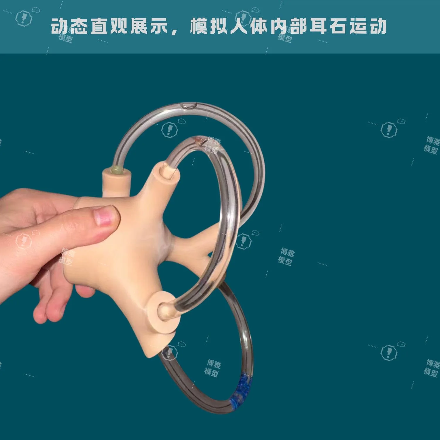 

Ear stone model semicircular canal model ear stone reduction model ear stone flow model ear stone reduction model