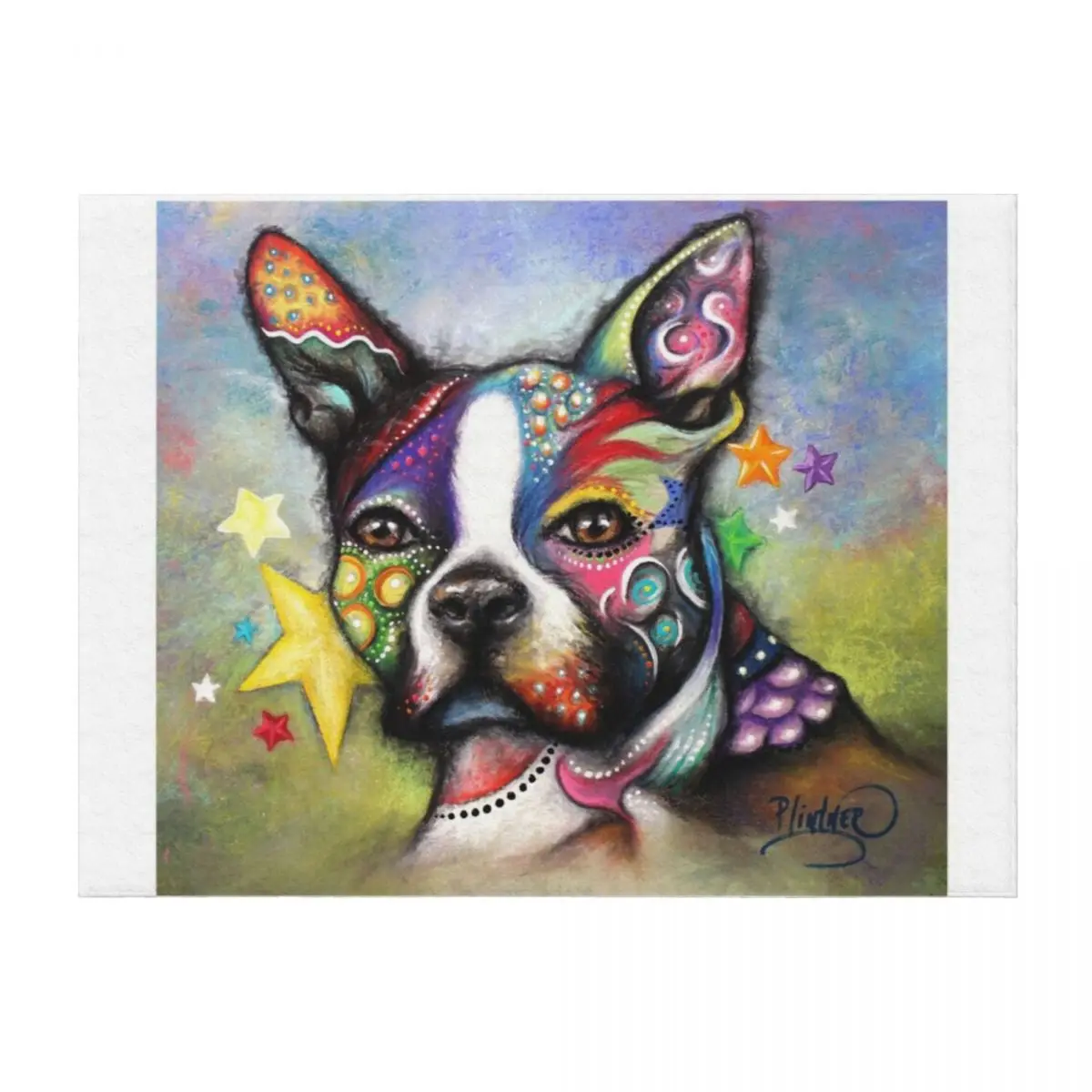 

Boston Terrier Throw Blanket Blankets For Sofas funny gift Beach Sleeping Bag Blankets