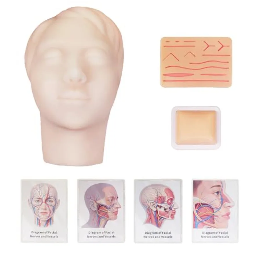 عارضة أزياء للتدريب على الحقن، نموذج رأس لتدريب ممارسة التدريس بالبلاستيك الدقيق لطلاب الطب والجمالي