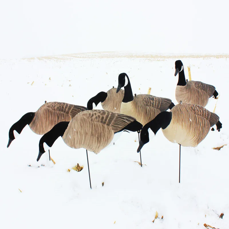 Xilei-Soft EVA Plastic Fullbody, Canada Goose Decoys, Per 6