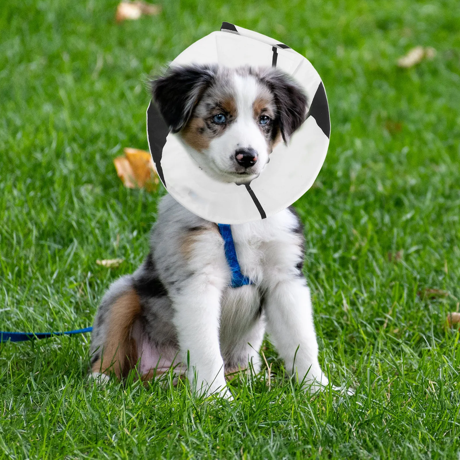 طوق واقي قابل للتعديل للكلاب والقطط، واقي رقبة إليزابيث ناعم، طوق مريح للتعافي ومضاد لللعق بعد الجراحة #4