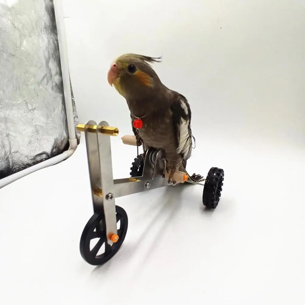 1 Set Parrot Training Bicycle Toy Funny Bird Cockatiel Conure Parakeet Mini Metal 4-Wheels Bike Foot Exercising Educational Toy