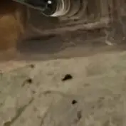 

Z750 Z800 Engine Cylinder Cover Head Protection Clutch Guards For Kawasaki Z 750 Z 800 2003-2016 2006 Motorcycles Accessories