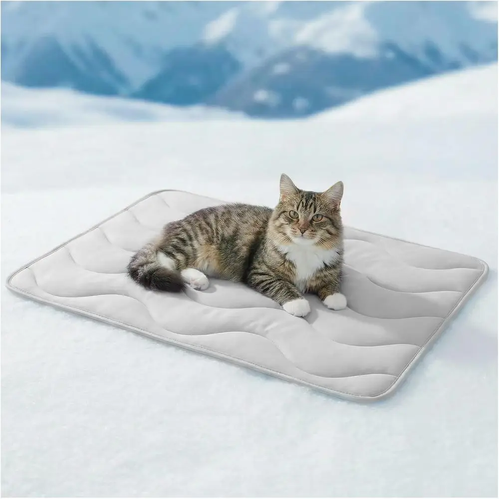 

Thickened Cooling Mat for Medium Dogs, 30x20, Portable Indoor/Outdoor, Grey