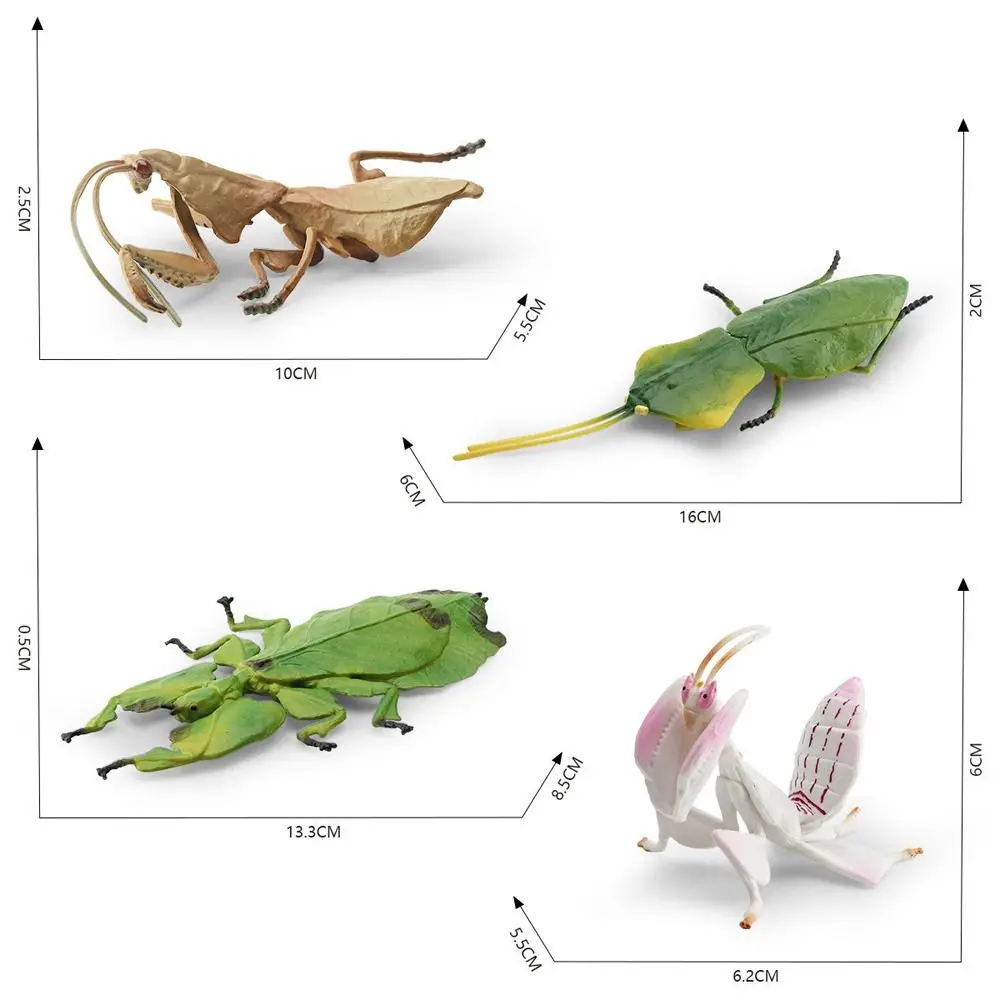 Simulation Insect Animal Model Deroplatys Desiccata Orchid Flower Mantis Action Figures Cognitive Education Teaching Aids Toys
