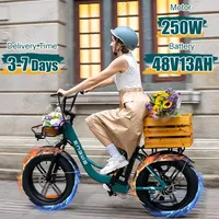 E-bike ENGWE L20 Boost 250W Motor 48V13AH Lithium Battery Electric Bike Adult City Travel 20*4.0 Inch Fat Tire Electric Bicycle