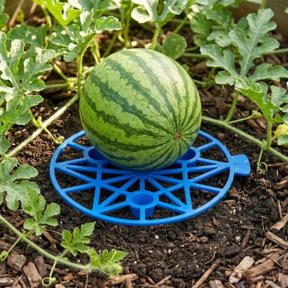 Plastic Watermelon Stand Anti- Rotting Stable Design Fruit Tray Plant Support Hollow Out Gardening Melon Tray Gardening Use