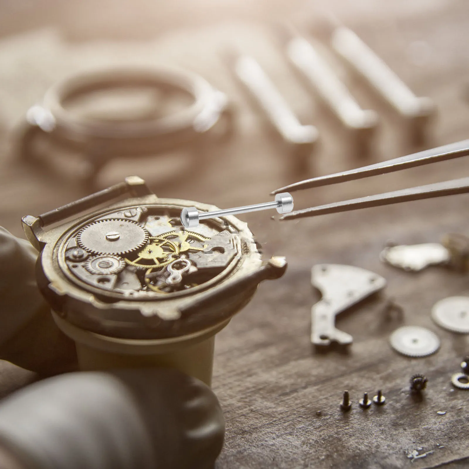 

2Pcs Watch Strap Link Rod Professional Stainless Steel Repair Tool for Watchmakers 16Mm Inner Diameter Screw- Rod