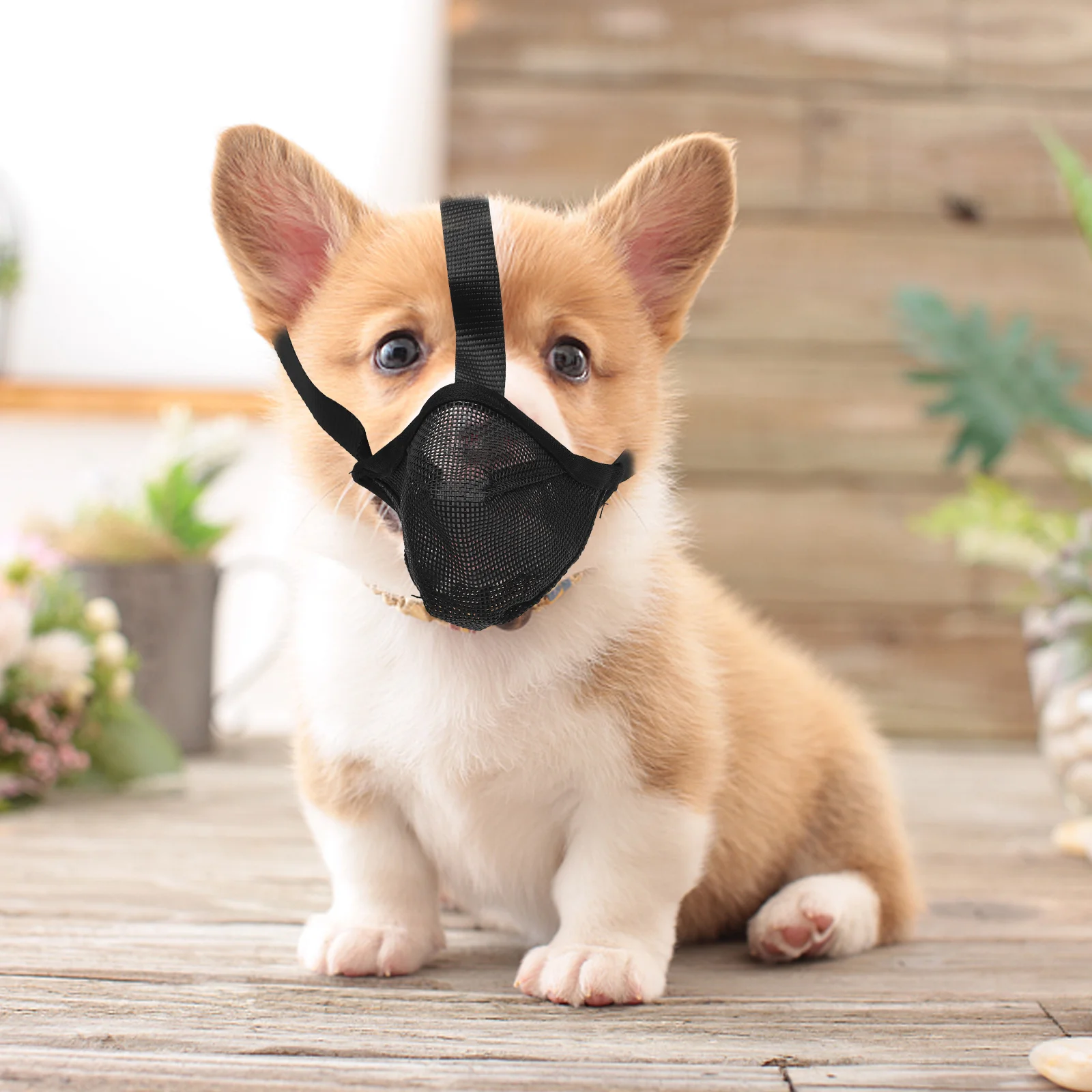 

Dog Muzzle Breathable Mesh Puppy Mouth Cover Size Anti Barking Portable Elastic Compact Dog Training Supplies