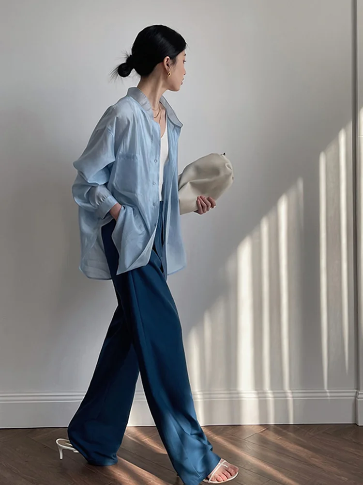 

Long Sleeve Shirts Women Striped Buttoned Blouses Lantern Sleeves Pleated Hem Feminine Retro French Style Elegant Spring Outfits