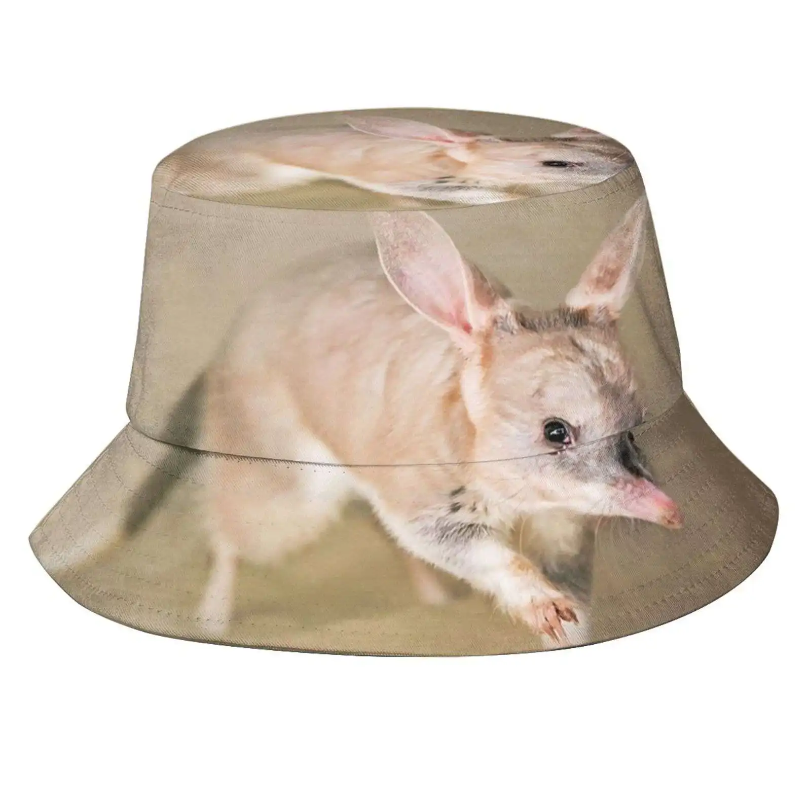 Bilby Sun Cap Fisherman Hat Bucket Hats Bilby Australian Wildlife Mel Spittall Nature