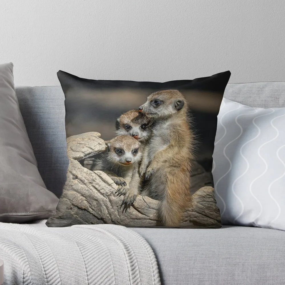 Meerkats Throw Pillow Marble Cushion Cover Cusions Cover