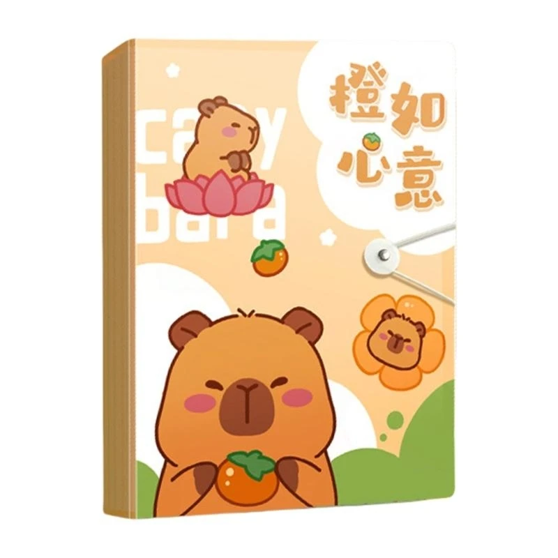 DXAB Folder Folder Plastic Certificate do dostępu do dokumentów i sortowania