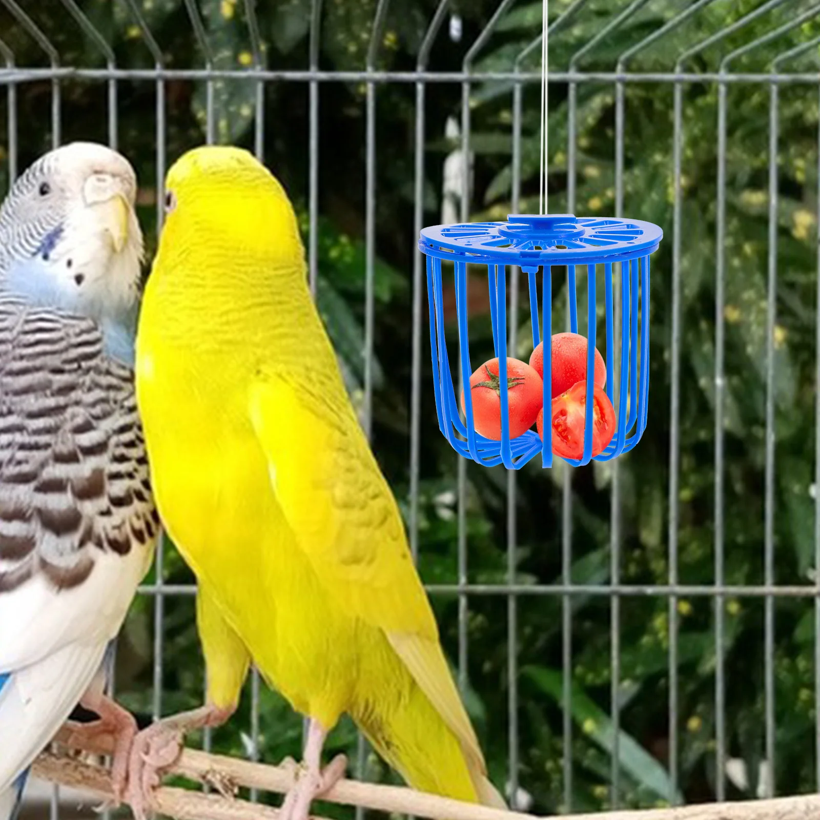 

10pcs Bird Fruit Vegetable Basket Parrot Cage Hollow Food Water Plastic Feeder Easy Clean Durable Small Size Pet Supplies