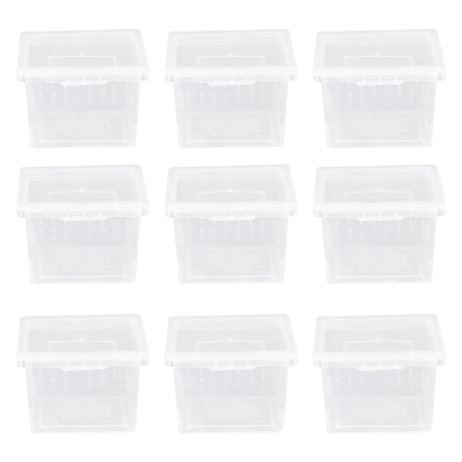 

Pet Spider Box Reptile Breeding Container Insect Feeding Enclosure Durable Compact Daily Feeding Watering Mini Box Supplies