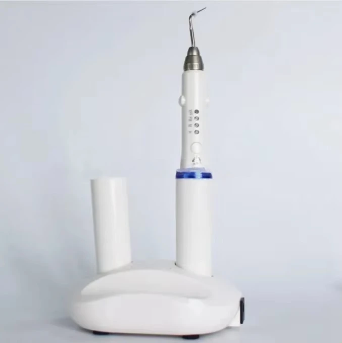 2025Double Charging Hot Melt Filling System  Cordless Teether Percha Obturation System Endo Heater Pen with 4 tips