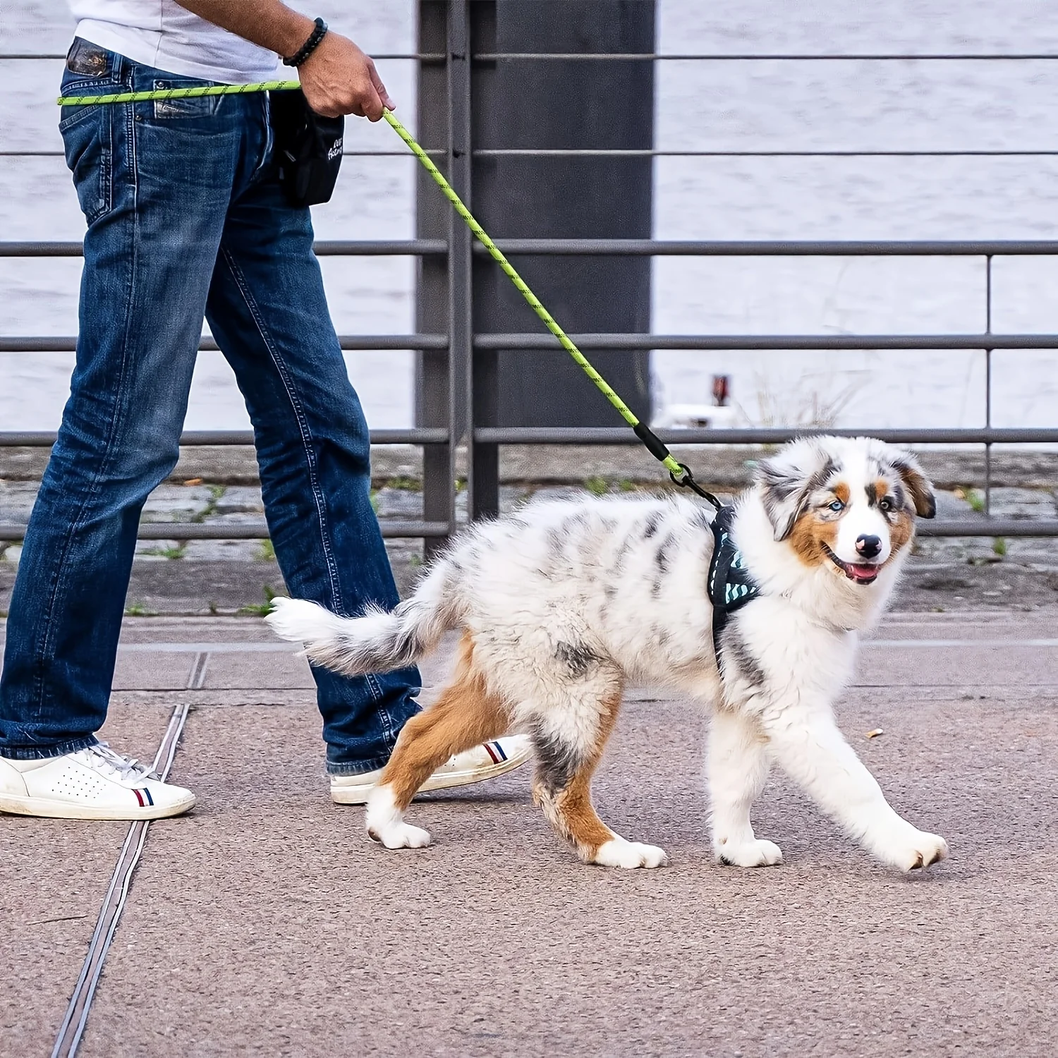 Reflective dog leash, with a rotatable locking hook and a comfortable padded handle, is suitable for walking, 152cm