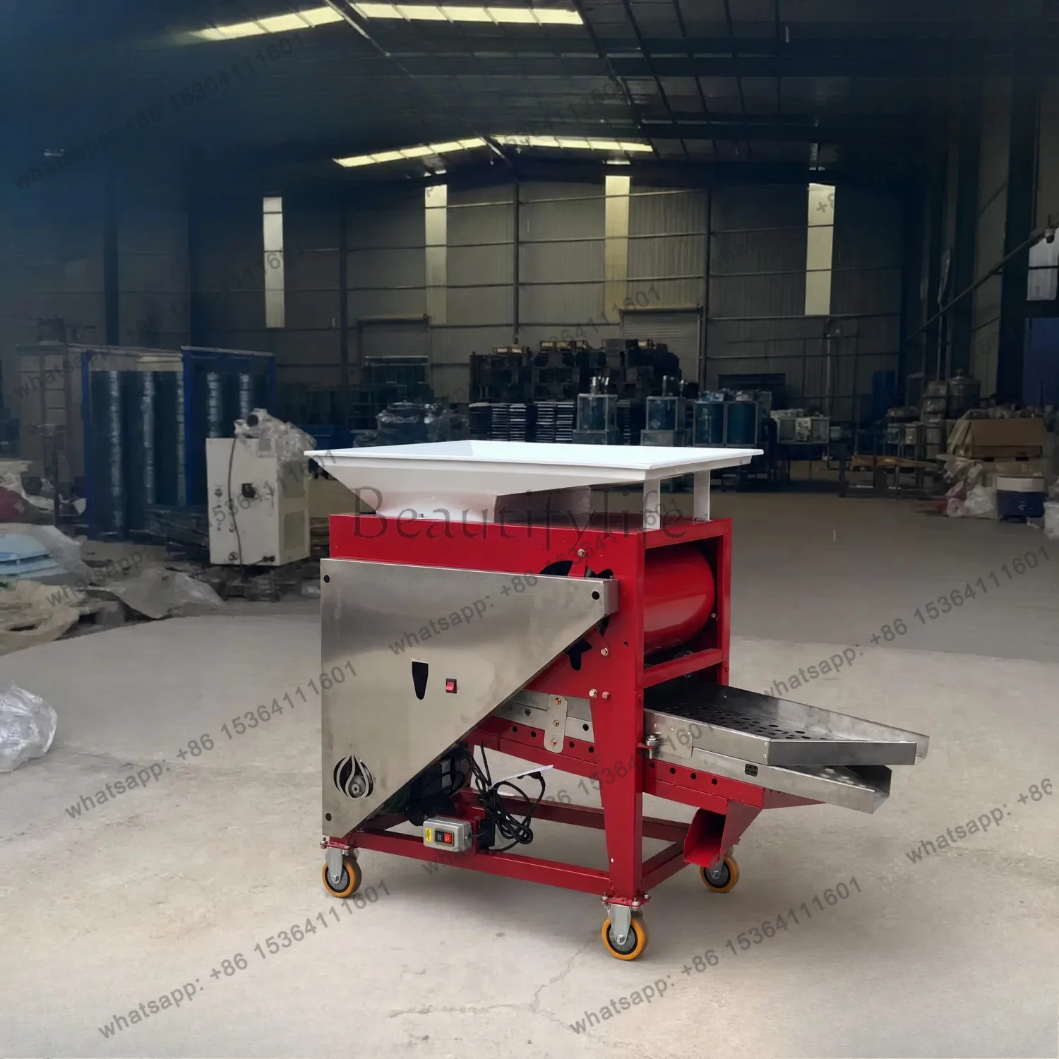 Garlic clove vibration screening machine to remove miscellaneous garlic species selection and removal of impurities