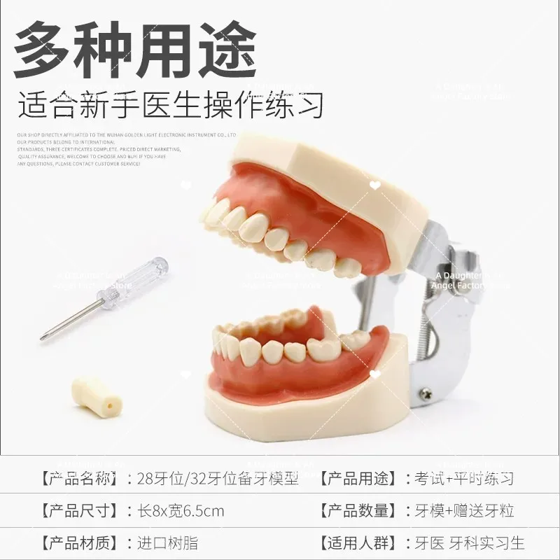 28 32 Oral Dental Teeth Model Preparation Practice Soft Gums Removable Oral Teaching