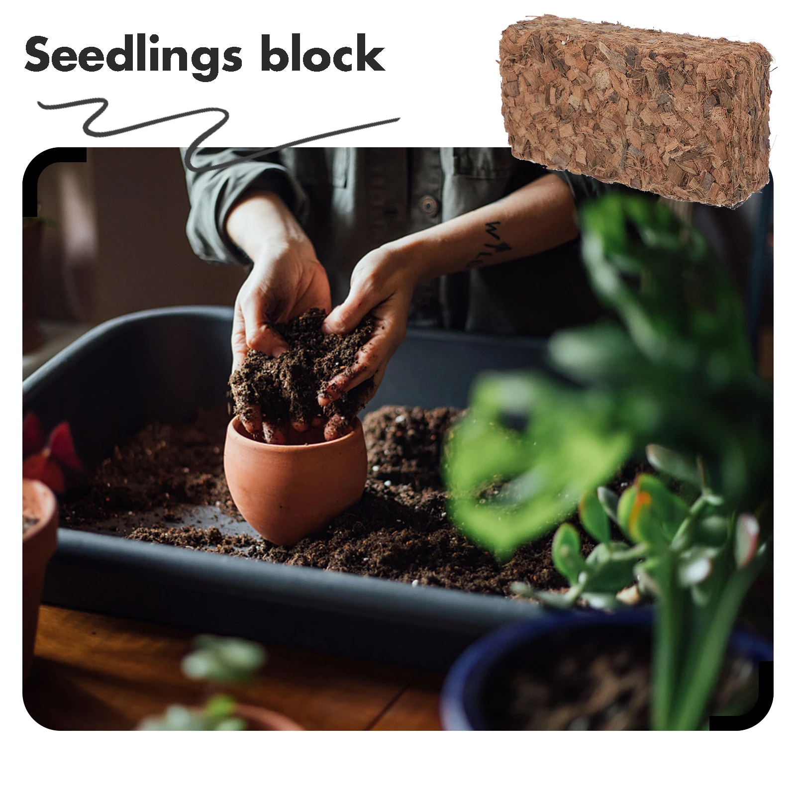 

Coconut Brick Nutrient Substrate Soilless Cultivation Block for Plants Flowers Vegetables Gardening Hydroponics for Garden