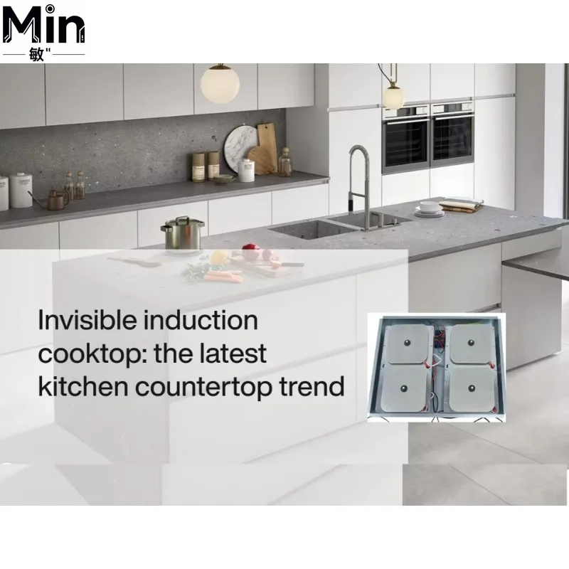 Built-in Sheep Pattern Stainless Steel Induction Cooker Hidden Granite Ceramic Stove Safety Energy Saving Induction