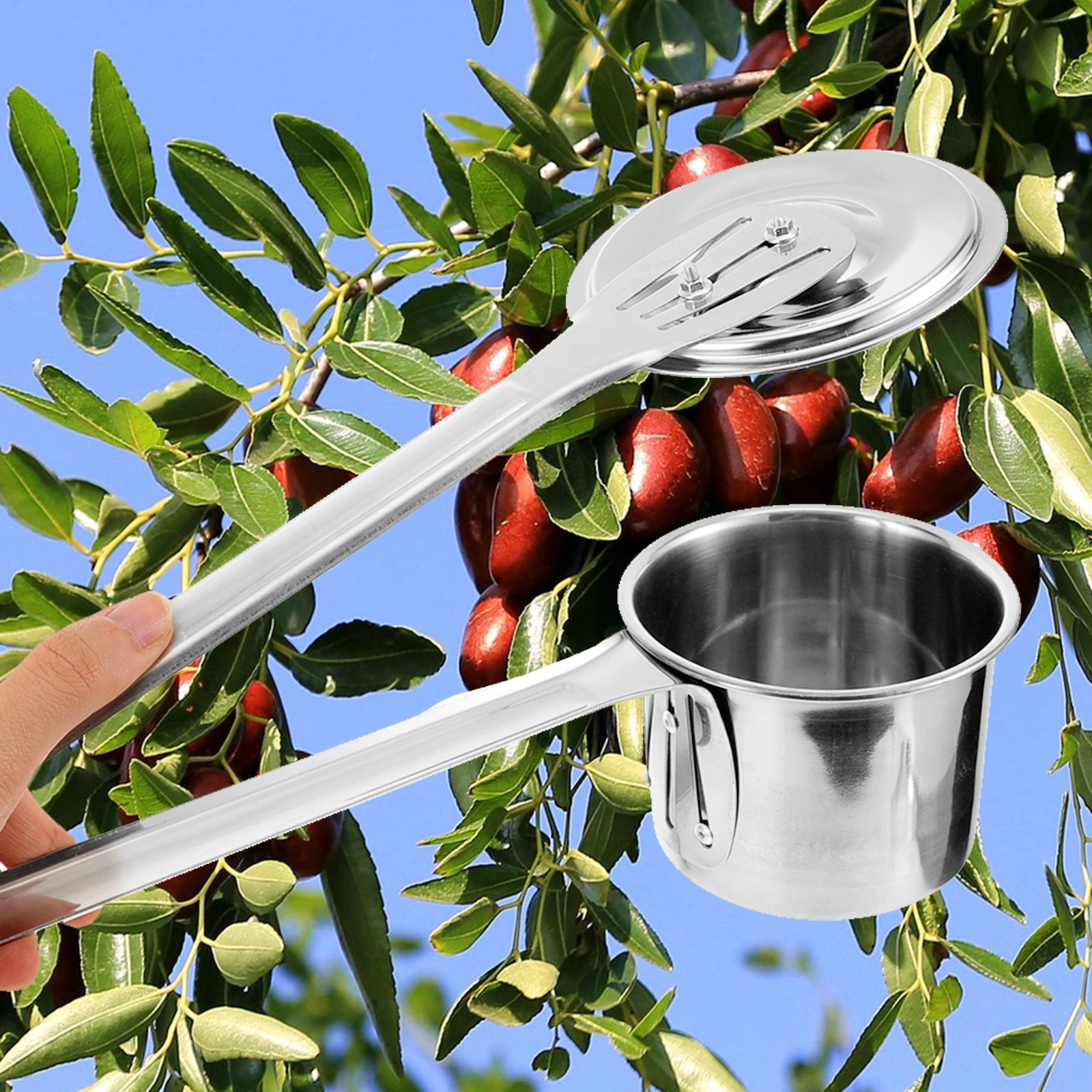 

Picker 8cm Stainless Steel Wild Fruit Picking Devices Durable Garden Fruit Picking Tool Farm Tools Berry Dates