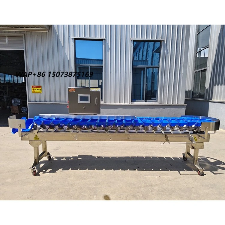 SeaFood Grading Machine  Fish Weight Grading Equipment Precise Weight-Based Sorting for Food Processing