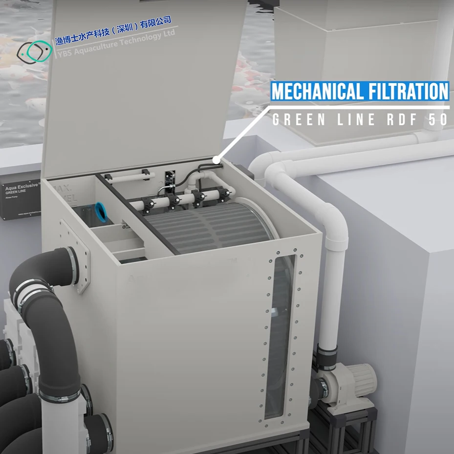

Аквапонная система Оборудование для сельского хозяйства рыбы Фильтр для пруда кои Барабанный фильтр для пруда кои