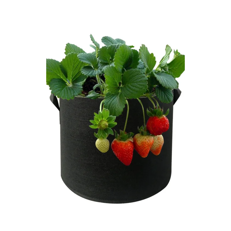 

Round Aeration Pot Container Grow Bag, Black Fabric Pots, Plant Vegetable Pouch, Free Shipping, 3 Pcs