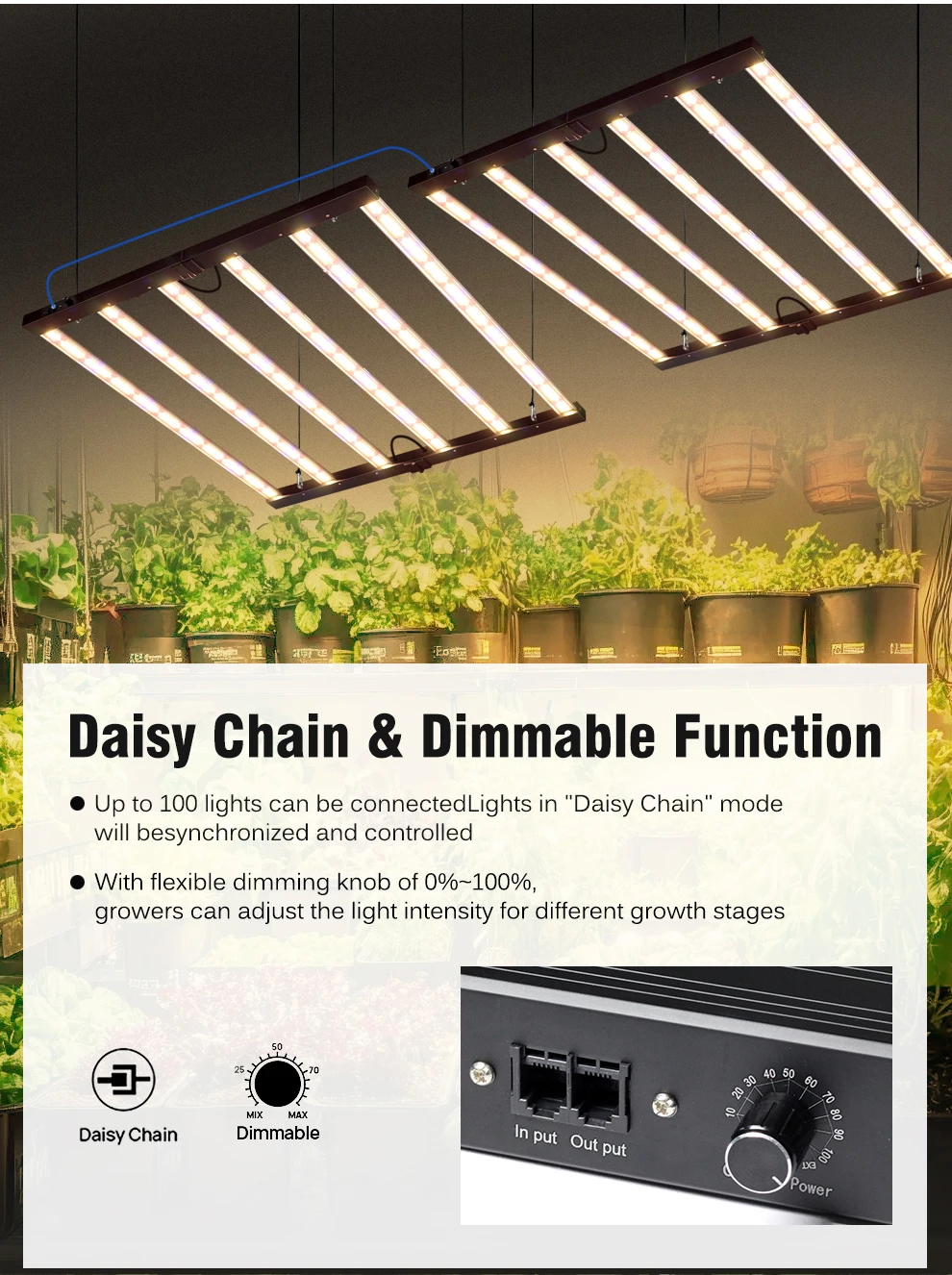 360W 720W LED Pflanzenlampe Vollspektrum Blau 460nm Rot 660nm IR 730nm UV 395nm, 2,7umol/J 1280umol/J/s Hohe PPFD Hanfpflanzenlampe für 4 × 4 5 × 5FT Zelt – Detail 4