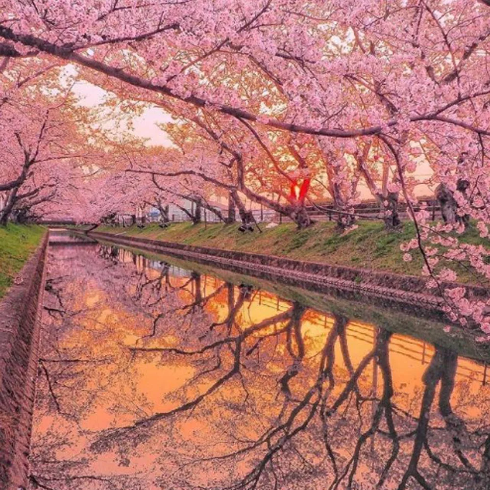 12 個 PFI-704 PFI 704 空の詰め替えインクカートリッジチップ付きキヤノン IPF8300 IPF8310 IPF-8300 IPF-8310 IPF 8300 8310 プリンタ用