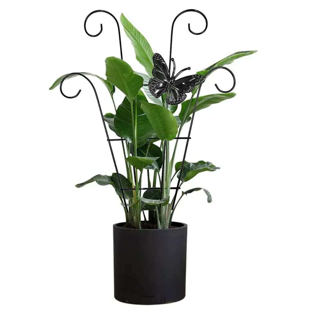 Sturdy Plant Support for Flowers and Vines Metal Iron Construction Easy Installation Neat and Beautiful Garden