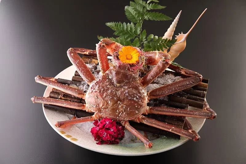 

JX PDI-HV0702MG-A Цифровой сервопривод крыла — крутящий момент 2,2 кг, тонкий 7 мм, двигатель без сердечника, металлическая шестерня для радиоуправляемых моделей